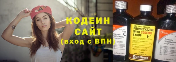 мдпв Фёдоровский