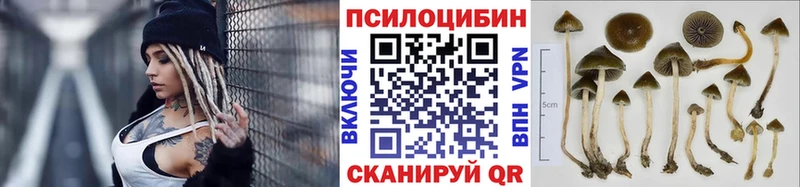хочу наркоту  ОМГ ОМГ зеркало  Псилоцибиновые грибы GOLDEN TEACHER  Губаха 