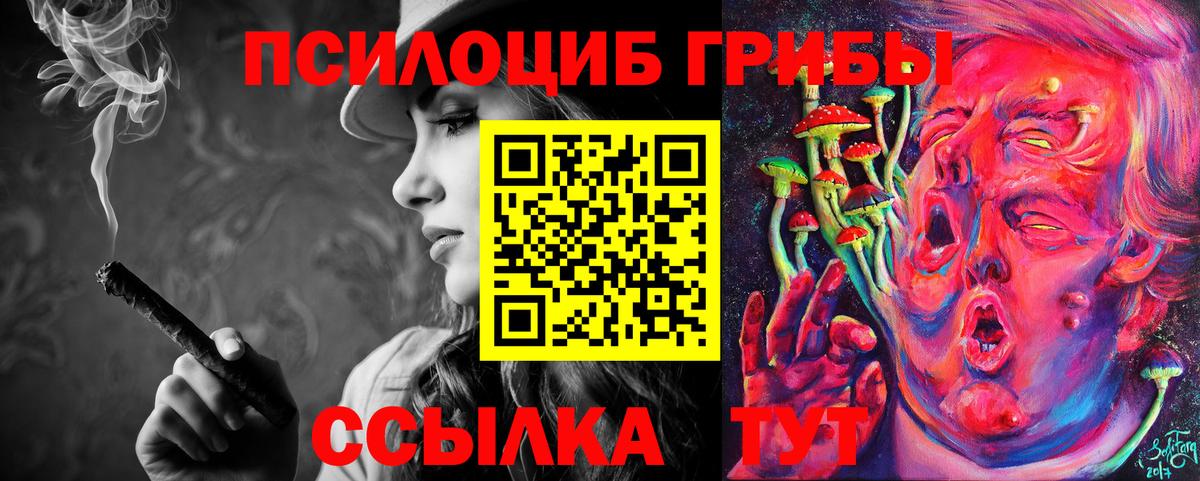 Псилоцибиновые грибы Cubensis  где можно купить   Губаха  Вход с VPN 