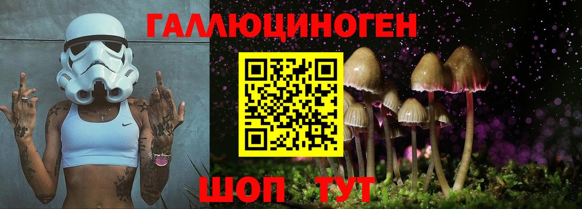 Псилоцибиновые грибы прущие грибы  Псилоцибиновые грибы Psilocybine cubensis  Губаха 