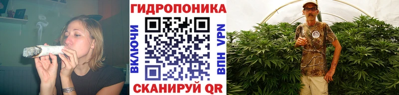 продажа наркотиков  ОМГ ОМГ зеркало  Марихуана планчик  Губаха 